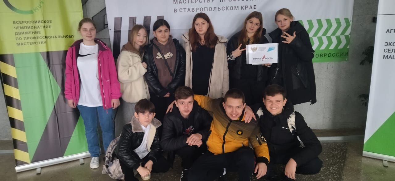 Чемпионат по профессиональному мастерству «Профессионалы».